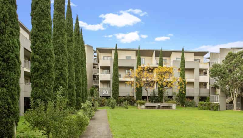 GB/20 Morning Star Place, Mount Albert