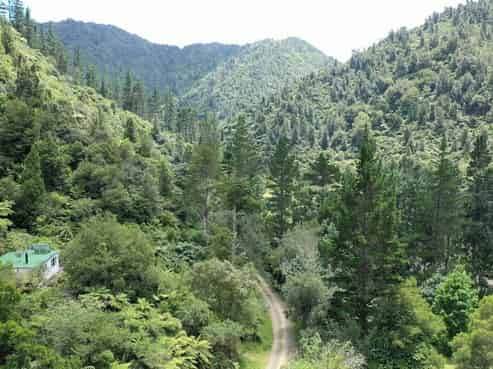 570 Tutaetoko Road, Opotiki Coastal