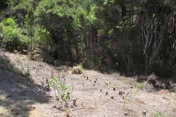 Northland - Address withheld