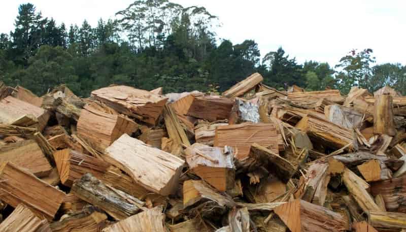 4 Cameron Road, Tauranga Central