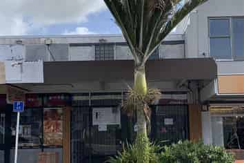 High Exposure Pukekohe Retail!