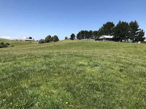 2868 State Highway 31 Kawhia Road, Otorohanga