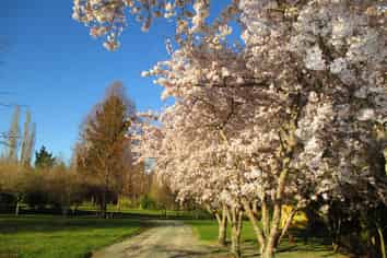 309 Flatman Road, Geraldine