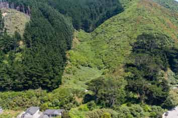 291 Happy Valley Road, Owhiro Bay