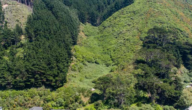 291 Happy Valley Road, Owhiro Bay