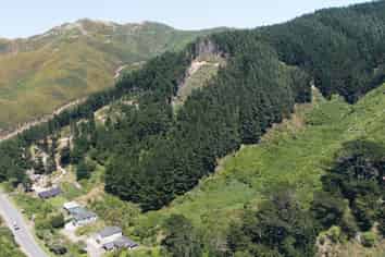 291 Happy Valley Road, Owhiro Bay