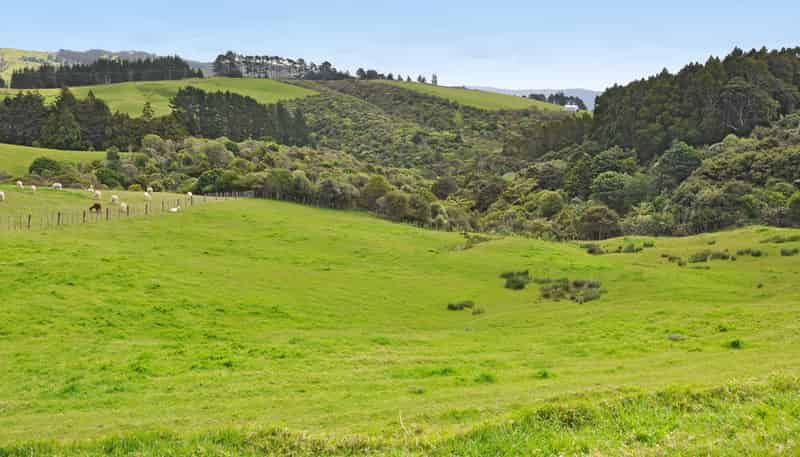 Lot 15 M Greenwood Road, Leigh