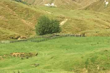 59 Tawhiwhi Road, Stratford