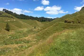 59 Tawhiwhi Road, Stratford