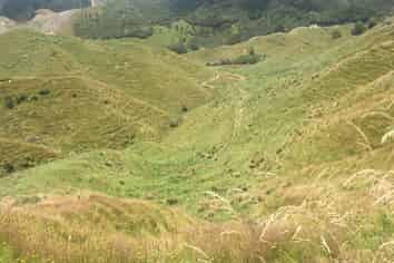 59 Tawhiwhi Road, Stratford