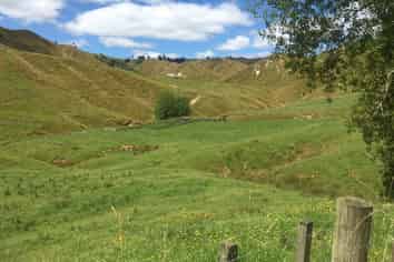 59 Tawhiwhi Road, Stratford