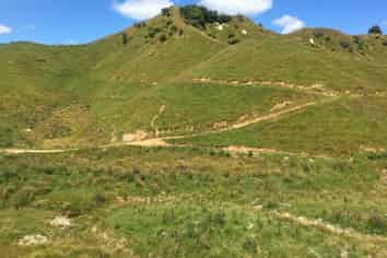 59 Tawhiwhi Road, Stratford