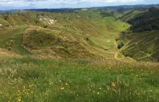 59 Tawhiwhi Road, Stratford