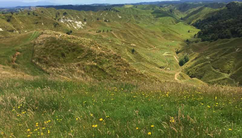 59 Tawhiwhi Road, Stratford