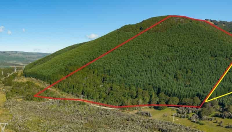  Korere-Tophouse Road, 