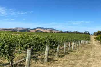  Lot 1 Harvest Rise, Lake Ferry Road, Martinborough