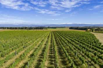  Lot 1 Harvest Rise, Lake Ferry Road, Martinborough