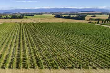  Lot 1 Harvest Rise, Lake Ferry Road, Martinborough