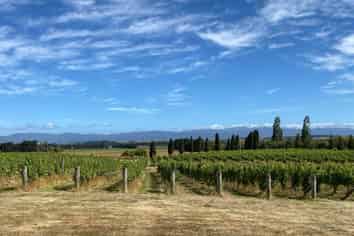  Lot 1 Harvest Rise, Lake Ferry Road, Martinborough