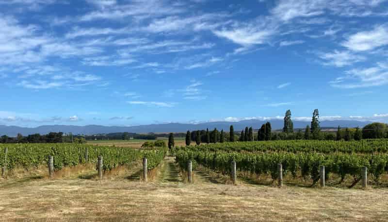 Lot 1 Harvest Rise, Lake Ferry Road, Martinborough