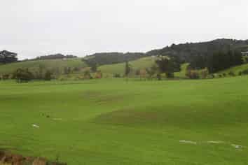 40 Millenium Way, Waipu