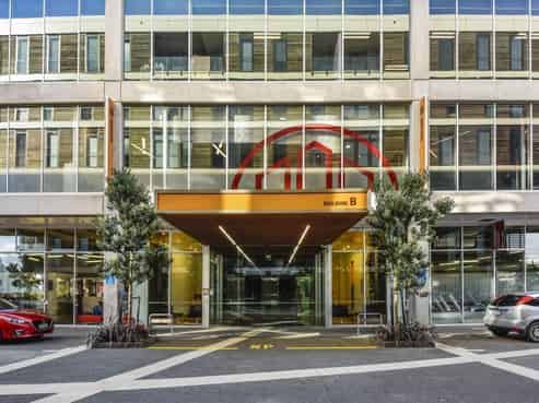 Knuckle Down on Nugent Street