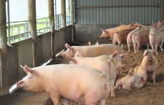 3591 State Highway 2, Takapau