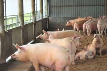 3591 State Highway 2, Takapau