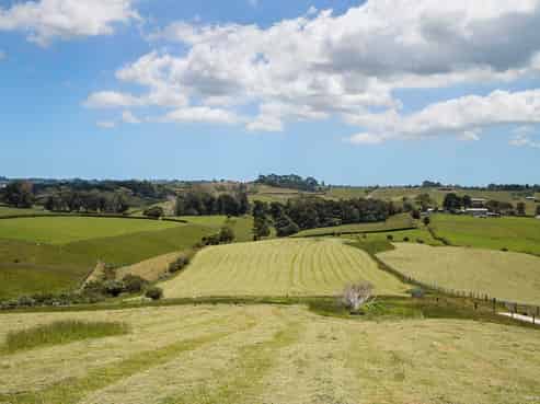 Lot 17/50 Bush Road, Pukekohe