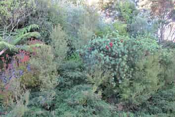 Northland - Address withheld