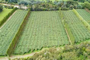 185B and 1 Hikuai School Road, Hikuai, Tairua