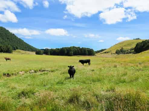 246 Howard Valley Road, Tasman