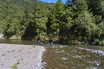 376 Te Waiti Stream Road, Opotiki and Surrounds