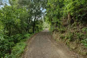 376 Te Waiti Stream Road, Opotiki and Surrounds