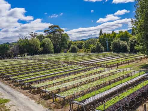 726 Matakana Road, Matakana