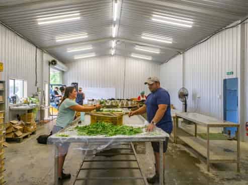 726 Matakana Road, Matakana