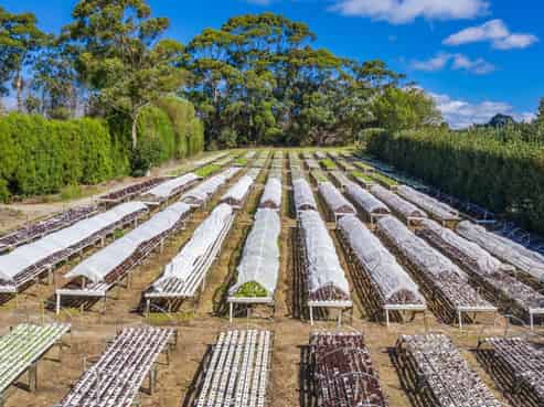 726 Matakana Road, Matakana