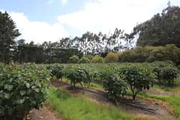 501 Paparore Road, Kaitaia