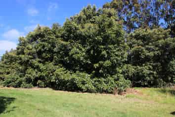 501 Paparore Road, Kaitaia