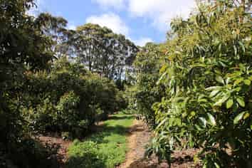 501 Paparore Road, Kaitaia