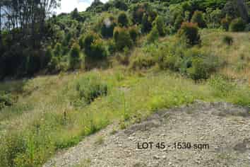 Lot 48 Kapiti Views, Stage 4, Kakariki Grove, Waikanae