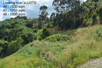 Lot 47 Kapiti Views, Stage 4, Kakariki Grove, Waikanae