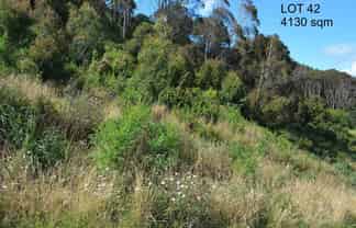 Lot 42, Kapiti Views, Stage 4, Kakariki Grove, 