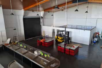 Huge Potential - Available Now!