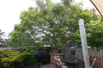 222/b Tui Road, Whangamata