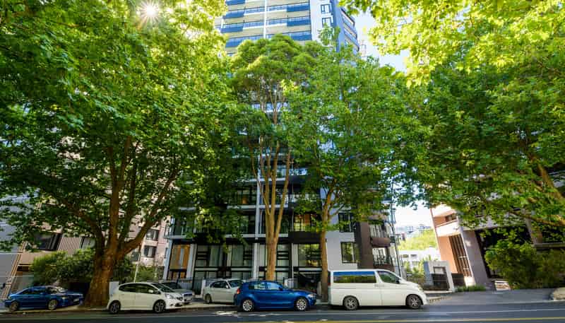 302/106 Vincent Street, Auckland Central