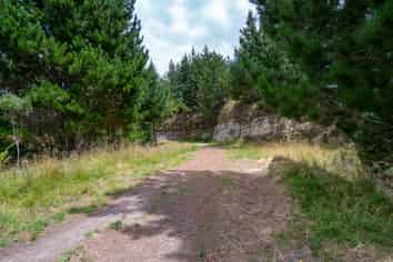  Motukawa Forest, Tarata