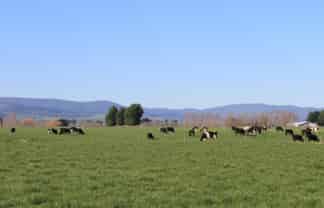 1315 Limehills Browns Road, 