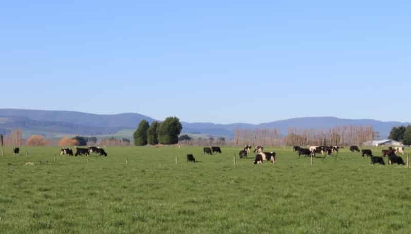 1315 Limehills Browns Road, 