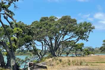 Lot 3 William Gilbert Drive, Mangawhai